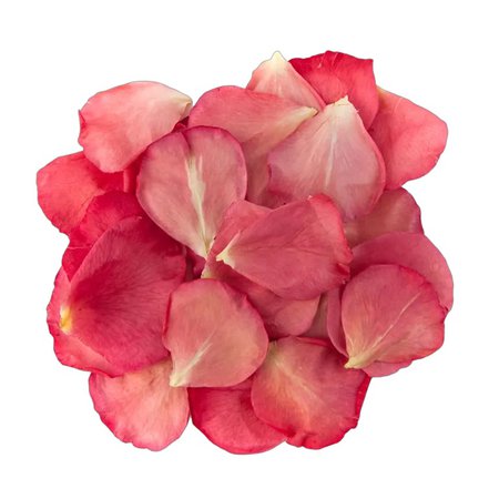Bright Pink Small Natural Rose Petals