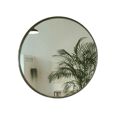 mirror with plant