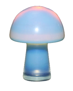 opal mushroom