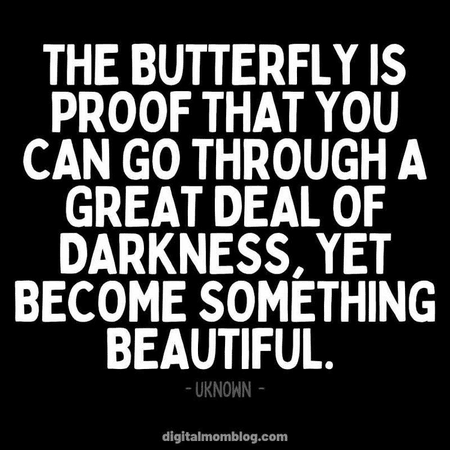 butterfly darkness quote