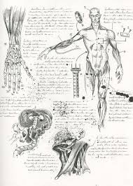 anatomy notebook