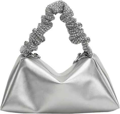 silver bag