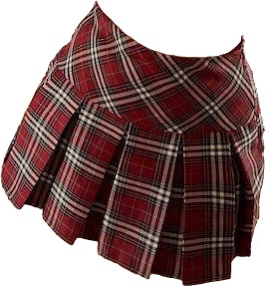 +size skirt
