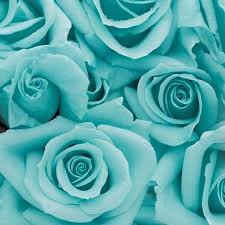 teal aesthetic - Google Search