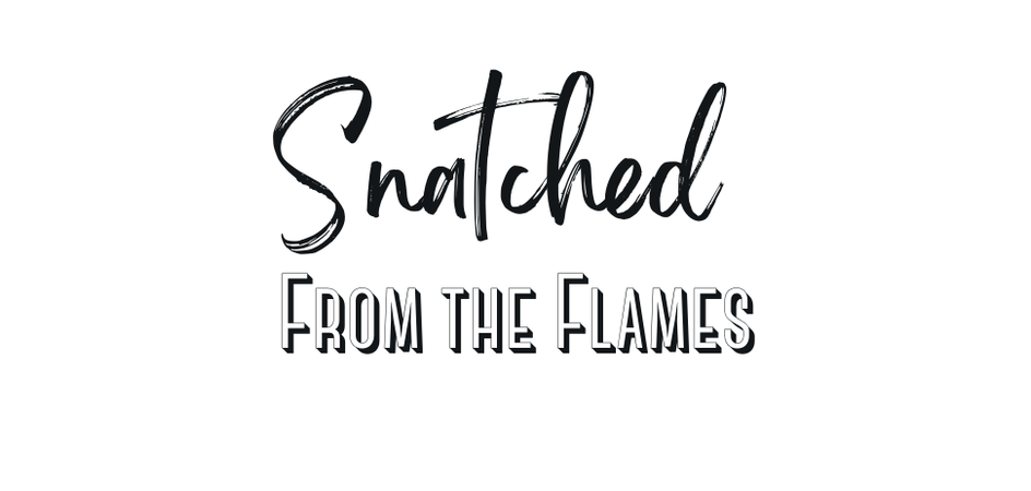 Snatched from the Flames -  Jesus