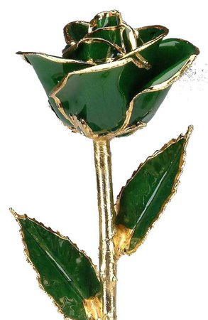 dark green gold rose