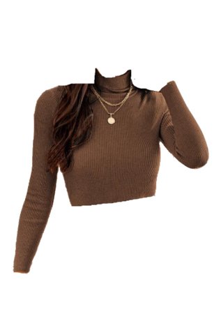 Ribbed Fitted Turtleneck Sweater-Shein(Coffee brown)
