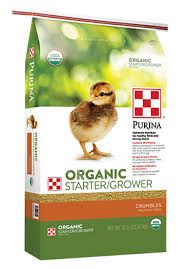 baby chick food png - Google Search