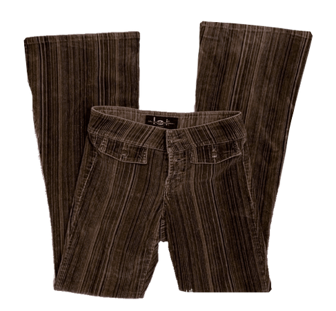 dark brown corduroy pants [edited]