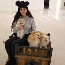 Sssniperwolf and her dogs