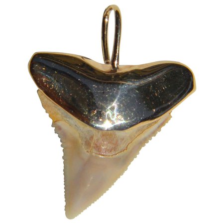 Vintage 14 Karat Gold Shark Tooth Charm Pendant at 1stDibs | gold shark pendant, gold shark tooth pendant, gold shark charm