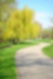 blur path background