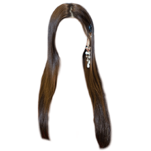 Straight Long Brown Hair