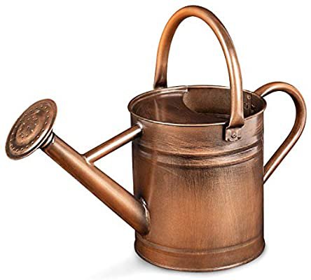 Amazon.com : Homarden Half Gallon Copper Colored Metal Indoor Outdoor Plant Watering Can for House Plants with Removable Spout, 80oz : Garden & Outdoor
