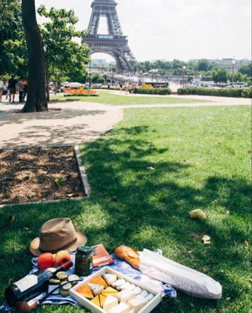@vera_sorbonne on Instagram|posts|Paris Picnic