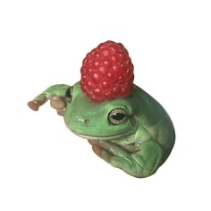 frog with a raspberry hat