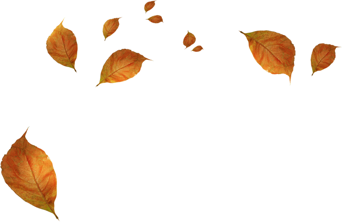 falling-leaves-transparent-background-3.png (2342×1526)