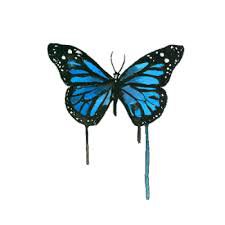 tumblr butterfly painting - Google Search