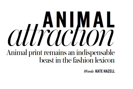 Animal Attraction Magazine