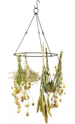 herb line hanging - Google Search