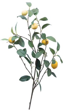 lemon branch