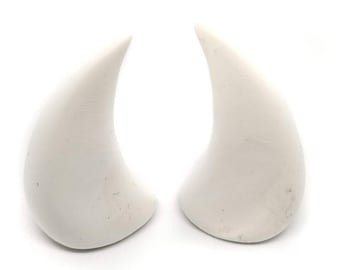 small white horns
