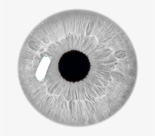 Eye Stickers Transparent Grey Filter Aesthetic Freetoed - Transparent Eye White Color Transparent PNG - 1024x1024 - Free Download on NicePNG