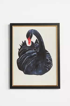 Black Swan Wall Art | Anthropologie