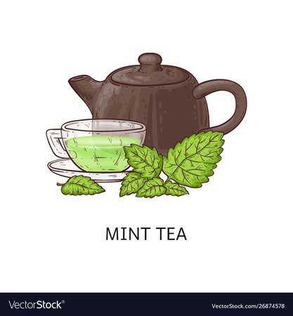 Mint tea drawing - glass cup with healthy green Vector Image