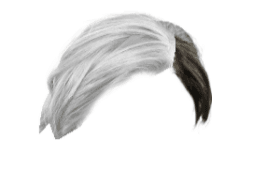 half-black half-white hair