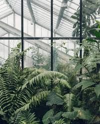 botanical garden aesthetic – Google Поиск
