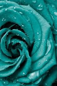 turquoise teal aesthetic - Google Search