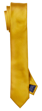 Colourful satiny tie golden yellow