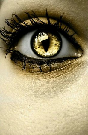 Gold eyes