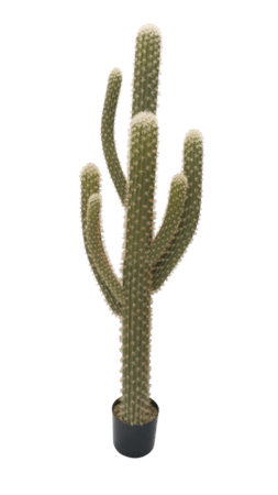 Faux Saguaro Cactus – Storehouse no.9