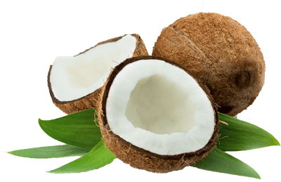 transparent free coconut - Google Search