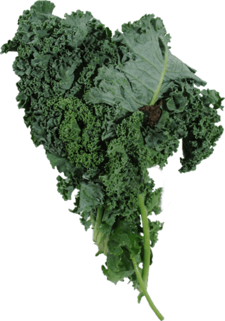 Kroger - Greens - Kale, 1 each