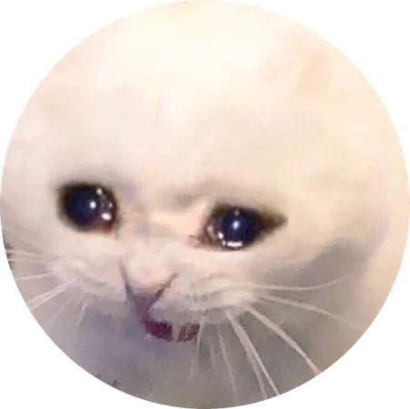 sad cat meme crying screaming Sticker by wera_99
