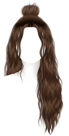 brown hair long bun