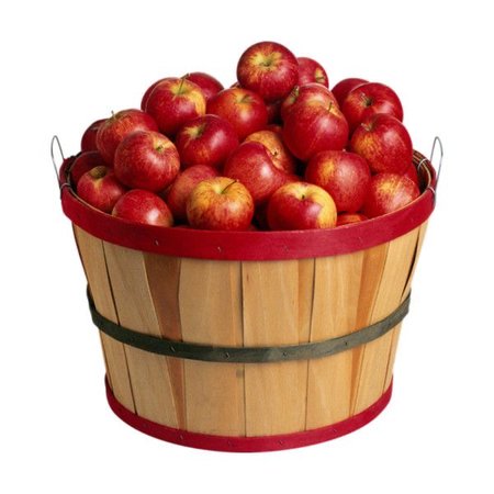 apple bucket