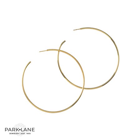 Park Lane Jewelry - Cocoa Earrings $38