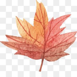 Autumn Pattern Background png download - 6000*5592 - Free Transparent Leaf png Download. - CleanPNG / KissPNG