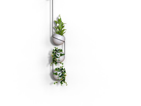 Hanging metal plant pot TRESESSANTA Globe Collection By BLOSS design Studio Nove.3