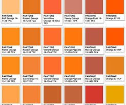 pantone orange - Google 搜尋