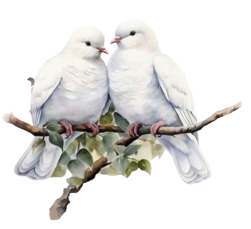 Love Birds Spring Doves PNG:KlosetKouture