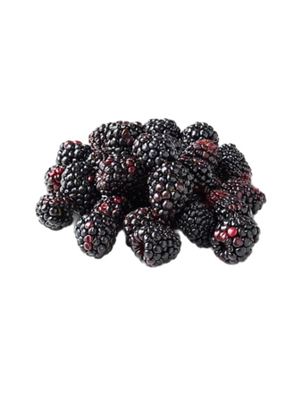 blackberries fruit food