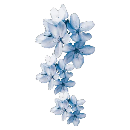freetoedit flower blue fleur Sticker by ❀Maévah❀