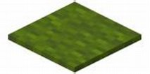 minecraft carpet images - Yahoo Search Results