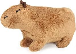 shein capybara plush - Google Search