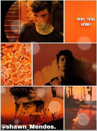 Shawn mendes orange aesthetic - Google Search